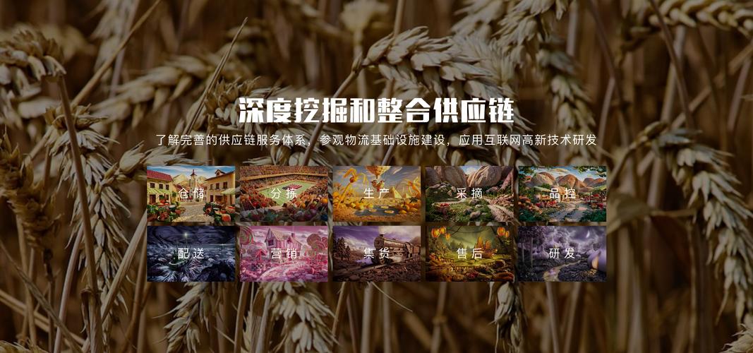 有量 重塑農(nóng)產(chǎn)品供應(yīng)鏈的數(shù)字化先鋒與內(nèi)容賦能者