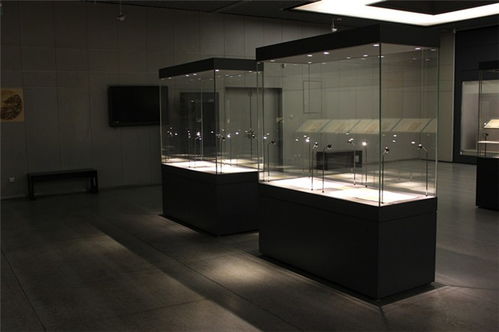 隆城展示 廈門博物館展柜高清大圖解析與專業賞析