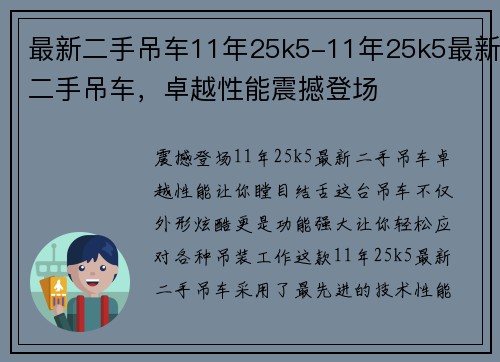 最新二手吊车11年25k5-11年25k5最新二手吊车，卓越性能震撼登场